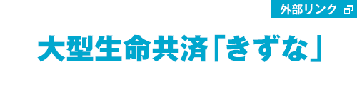 大型生命共済「きずな」